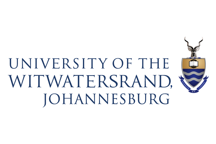 University of the Witwatersrand Johannesburg