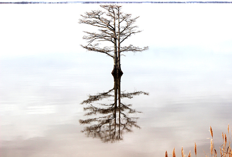 Stakeholder Capitalism – Embracing Today’s Opportunity