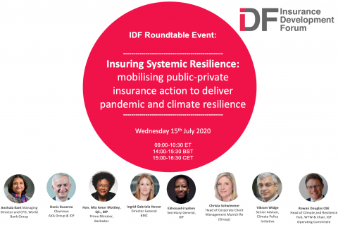 IDF Roundtable: Insuring Systemic Resilience