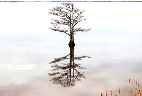 The Year of a New Beginning – From ESG Commitments to Action