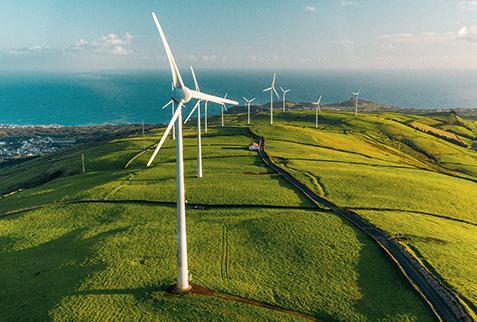 Sharing progress and inspiring change