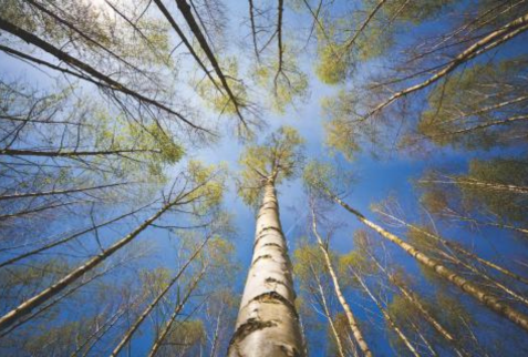 Bridging the Protection Gap with Embedded Insurance & SuperApps