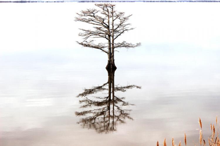 The Year of a New Beginning – From ESG Commitments to Action