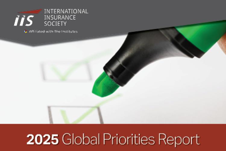 2025 Global Priorities Survey