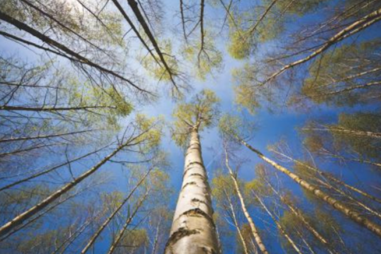 Supply, demand or irrelevance? A European protection gap