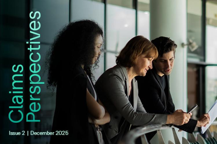 Claims Perspectives · Issue 2