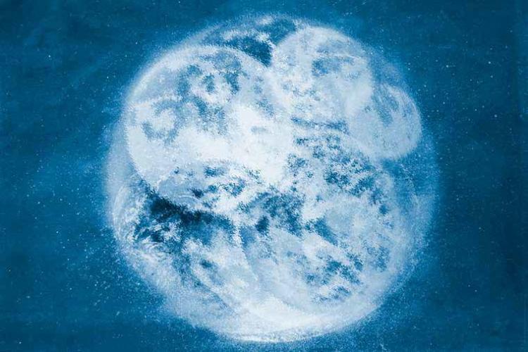 The Global Risks Report 2019 - 14th edition