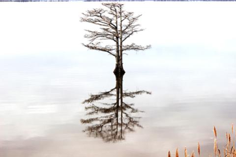 The Year of a New Beginning – From ESG Commitments to Action