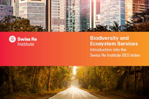 Biodiversity and Ecosystems Services Index: measuring the value of nature