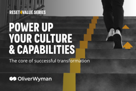 Oliver Wyman: Power Up Performance Transformation 