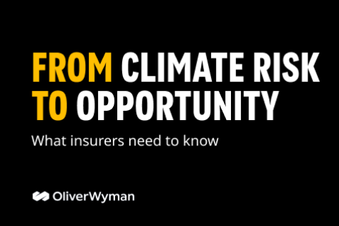 From Climate Risk to Opportunity