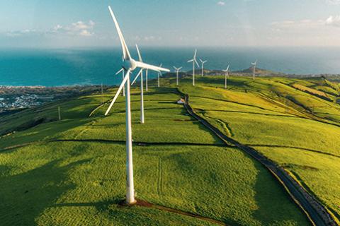 Sharing progress and inspiring change