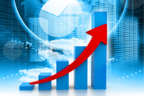 The growth imperative: An appraisal