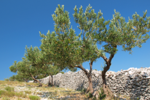 Protection Gaps: A Customer, Distribution, and Product Lens